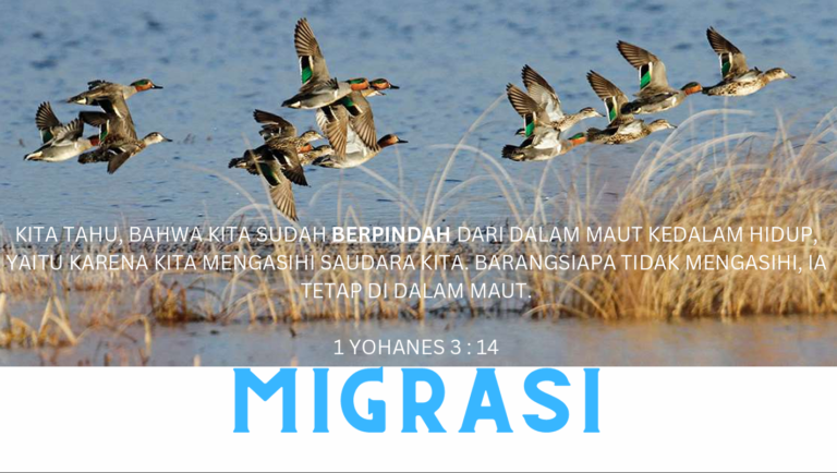 MIGRASI